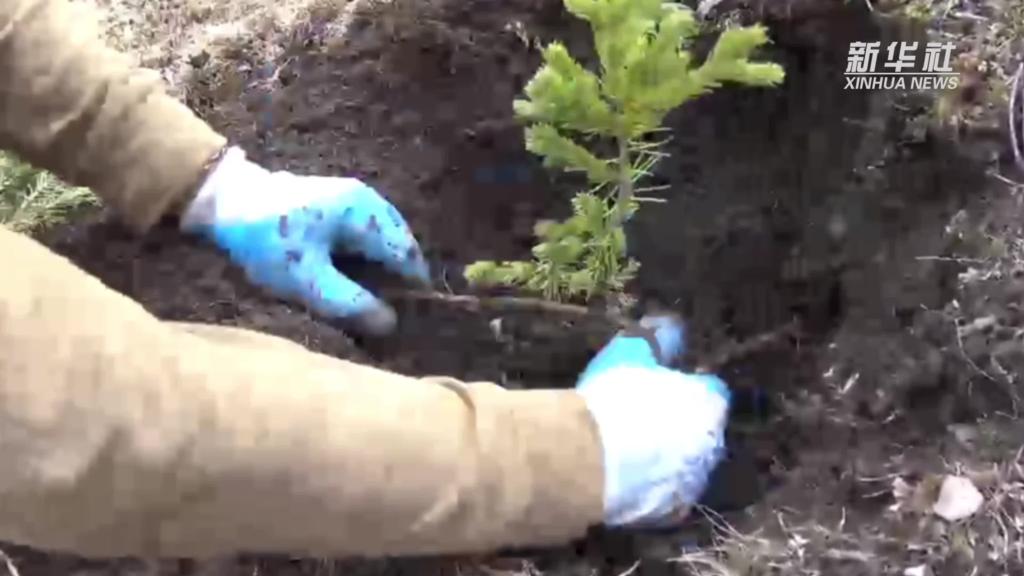 青?，斂珊恿謪^：加強生態保護，創新綠色發展新路徑