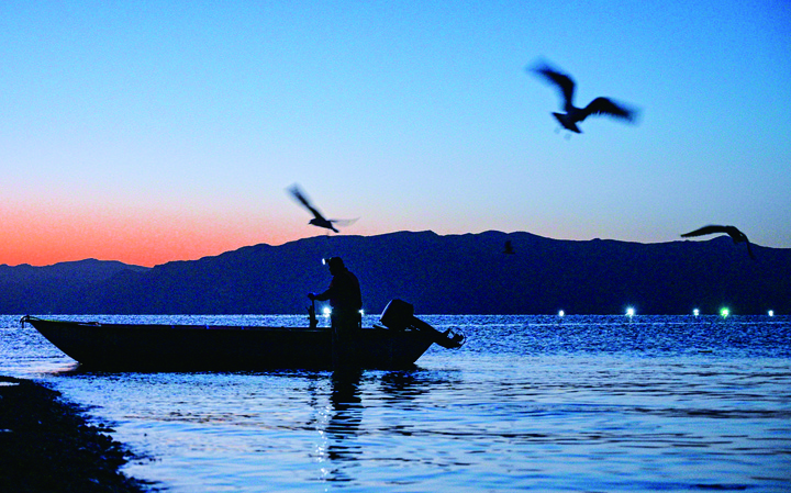 齊芷玥：龍羊峽畔的高原“漁光曲”｜新華走筆